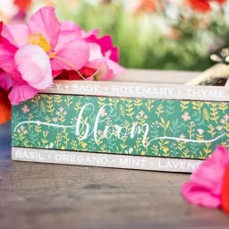 Silhouette Image Transfer Paper - 21,5 cm x 28 cm