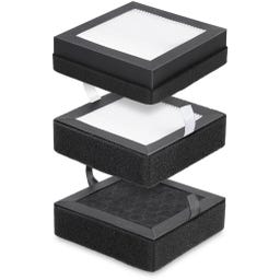 Filtre 3-en-1 pour Système de Filtration V1