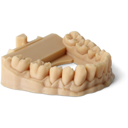 Phrozen Water-Washable Dental Model Beige - 1.000 g