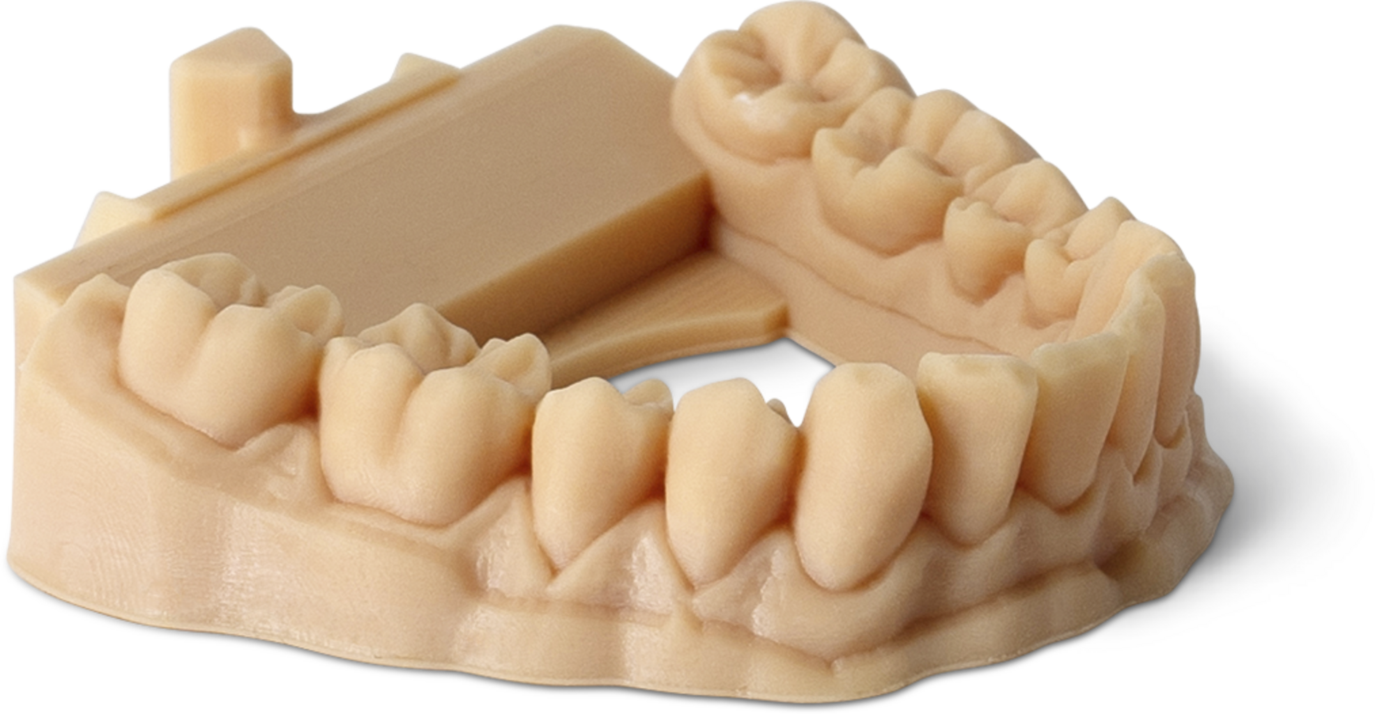 Phrozen Vannvaskbar Dental Model Resin i Beige - 1.000 g