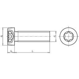 M5 Cheese Head Screws, Low Head (ISO 14580), Stainless Steel A2-70