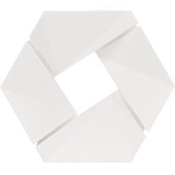 3DJAKE PCTG White
